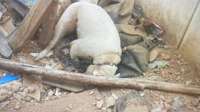 Fb img 1748903921690