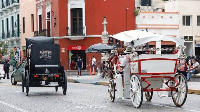 Img 20250611 wa0104(1)