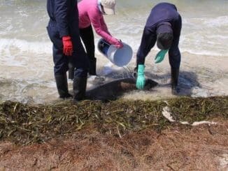 Imagen de whatsapp 2025 06 14 a las 10.39.52 1891da5d