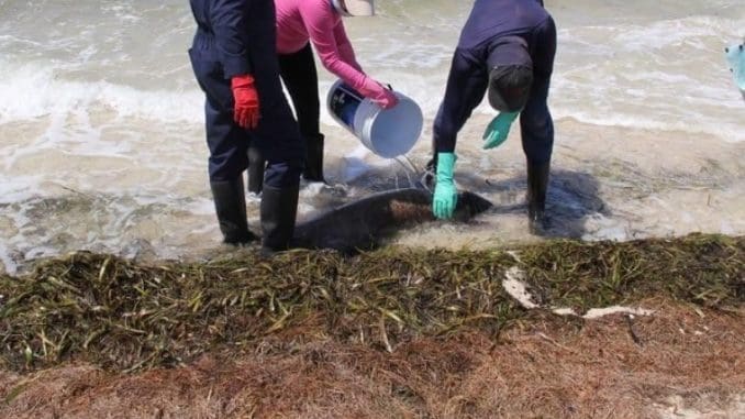 Imagen de whatsapp 2025 06 14 a las 10.39.52 1891da5d