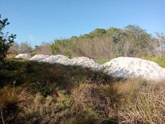 Imagen de whatsapp 2025 06 14 a las 12.21.03 1f16aa55