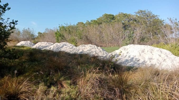 Imagen de whatsapp 2025 06 14 a las 12.21.03 1f16aa55