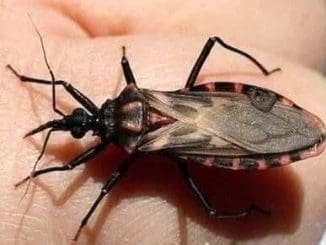 Imagen de whatsapp 2025 06 21 a las 11.16.50 6ed2cc04