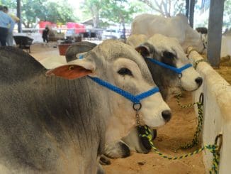 Imagen de whatsapp 2025 06 28 a las 09.57.26 bf747af7