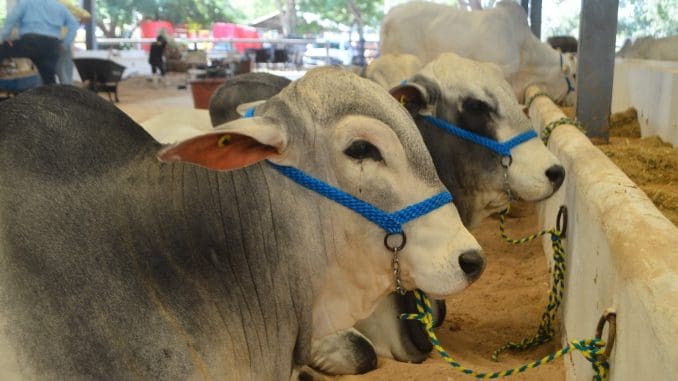 Imagen de whatsapp 2025 06 28 a las 09.57.26 bf747af7