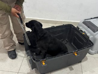 Imagen de whatsapp 2025 07 05 a las 14.55.38 adf92184