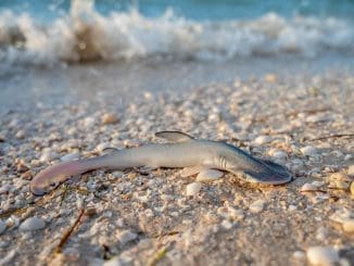 Imagen de whatsapp 2025 07 19 a las 14.13.20 0f710ab8