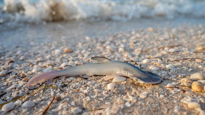 Imagen de whatsapp 2025 07 19 a las 14.13.20 0f710ab8