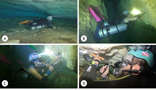 Imagen de whatsapp 2025 07 26 a las 11.44.25 def32d9f