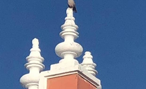 Imagen de whatsapp 2025 07 26 a las 12.03.36 3beec0ac