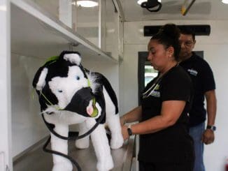 Bienestar animal (2)