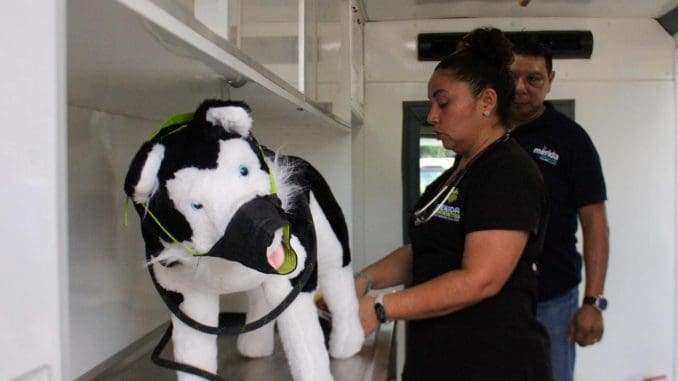 Bienestar animal (2)