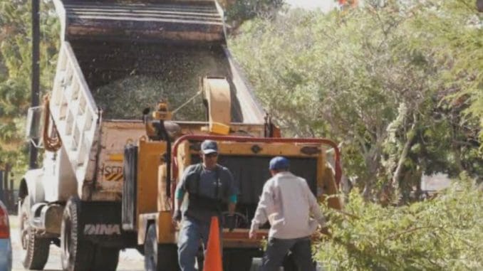 Imagen de whatsapp 2025 08 23 a las 09.25.01 94261cfc