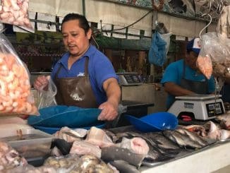 Pescado mercado