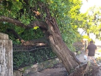 Avenida pérez ponce