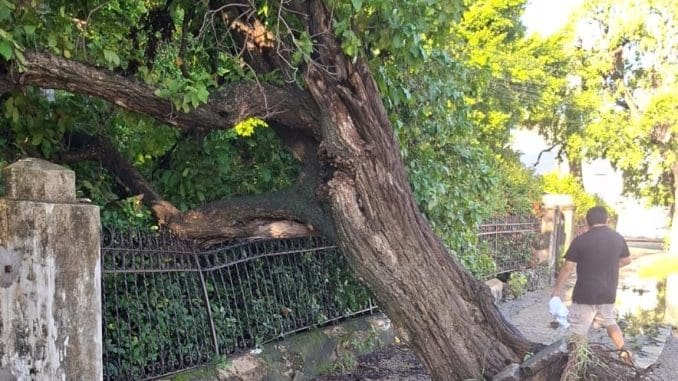 Avenida pérez ponce