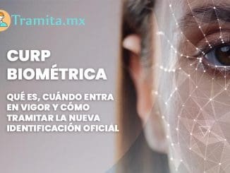 Img 20250901 wa0138(1)