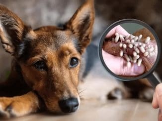 Imagen de whatsapp 2025 10 11 a las 10.28.23 a85f497c