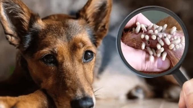 Imagen de whatsapp 2025 10 11 a las 10.28.23 a85f497c