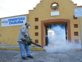 Imagen de whatsapp 2025 10 11 a las 10.29.11 13b1bf3d