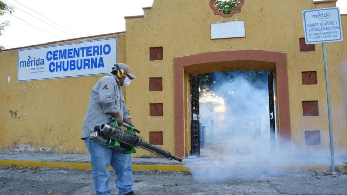 Imagen de whatsapp 2025 10 11 a las 10.29.11 13b1bf3d