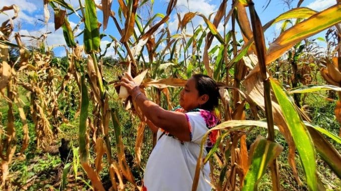 Imagen de whatsapp 2025 10 11 a las 10.33.12 33e96fd9