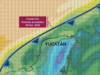 Imagen de whatsapp 2025 10 25 a las 11.30.18 0fbab211