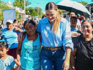 Tramos vialidades (2)