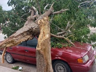 Img 20251110 wa0188(1)