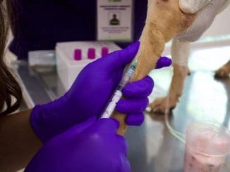 Imagen de whatsapp 2025 11 01 a las 14.33.09 4649a442