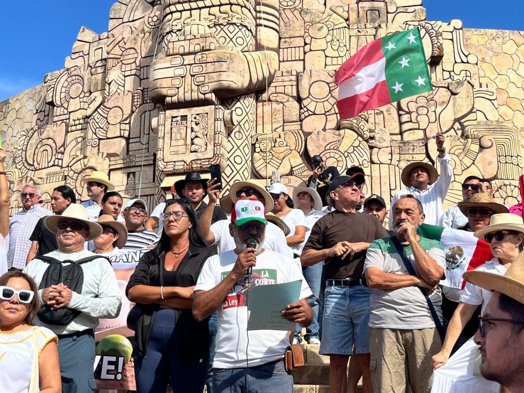 Whatsapp image 2025 11 15 at 11.00.53 am