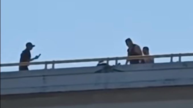 IMG 20251228 WA0094(1)