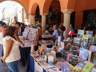 WhatsApp Image 2025 12 13 at 11.36.21 AM