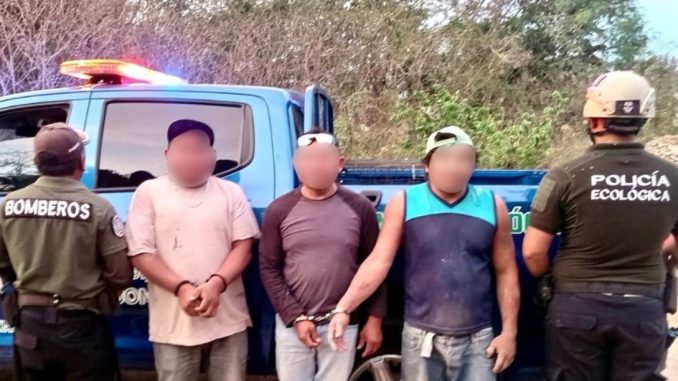 WhatsApp Image 2025 12 13 at 11.37.41 AM