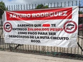 WhatsApp Image 2025 12 13 at 11.39.01 AM