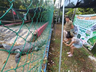 WhatsApp Image 2025 12 20 at 2.06.52 PM