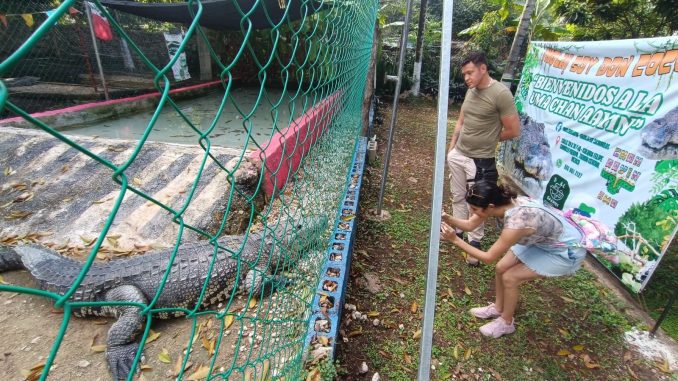 WhatsApp Image 2025 12 20 at 2.06.52 PM