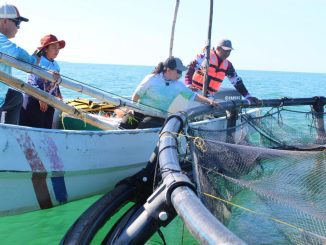 WhatsApp Image 2025 12 20 at 2.08.39 PM