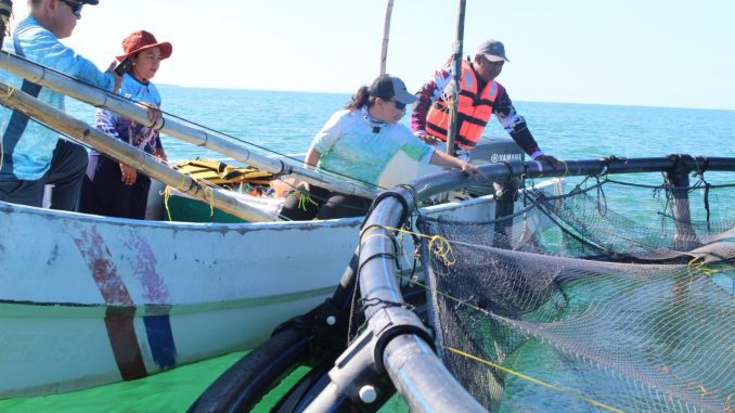 WhatsApp Image 2025 12 20 at 2.08.39 PM