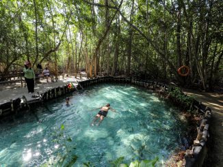 WhatsApp Image 2026 01 01 at 2.40.10 PM