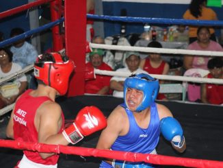 WhatsApp Image 2026 01 17 at 11.53.28 AM