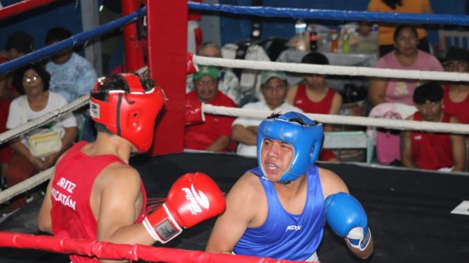 WhatsApp Image 2026 01 17 at 11.53.28 AM