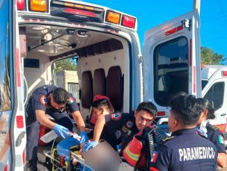 WhatsApp Image 2026 01 17 at 3.16.09 PM