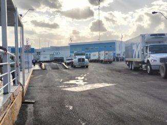 WhatsApp Image 2026 01 31 at 5.54.11 PM