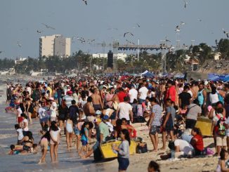 WhatsApp Image 2026 02 07 at 11.48.08 AM