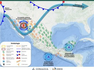 WhatsApp Image 2026 02 10 at 8.10.50 AM