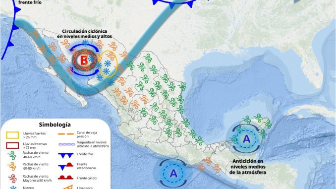 WhatsApp Image 2026 02 10 at 8.10.50 AM