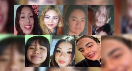 F425x230 139833 153815 5050 (1)